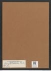 Podocystis adriatica Kuetz. (de-Toni-Nr.: Genus 55, Species 2421) Zeichnungen Sammlung Grunow Mappe 05472 (Herbarium_W_Grunow_drawings_Folder_05472)